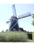 Horn - De Hoop 03